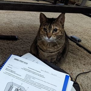 Meet your Posher, Mitch